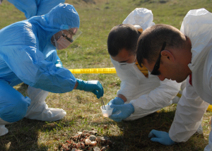 Crime Scene And Recovering Evidence