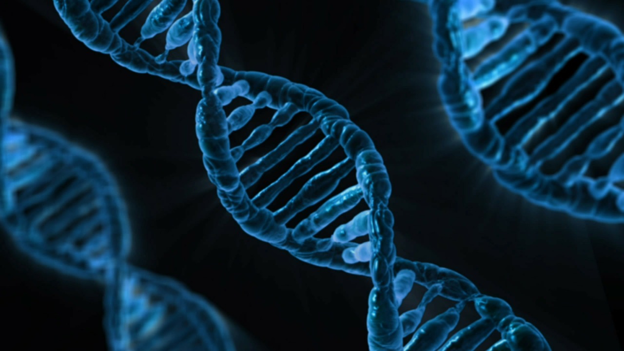 What Is Forensic Dna Analysis In Forensic Science