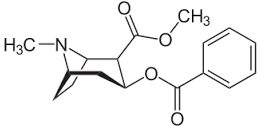 cocstruc